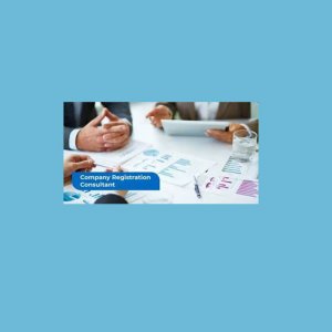 Registration Consultant Software  Starting@15000